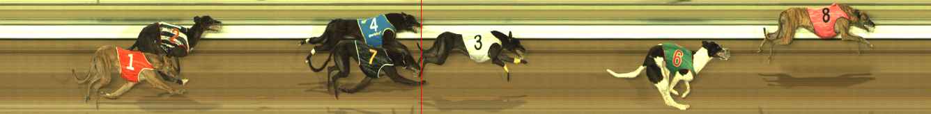 Photo finish for The Meadows Race 6