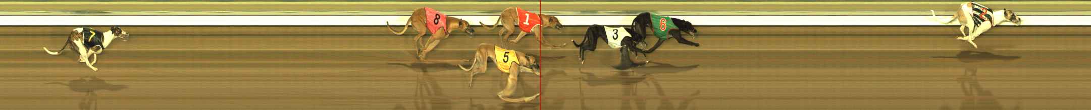 Photo finish for The Meadows Race 8