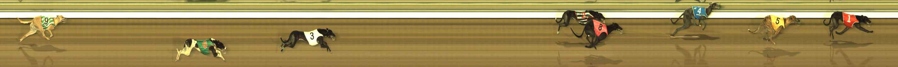 Photo finish for The Meadows Race 9
