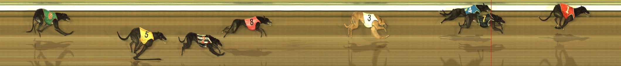 Photo finish for The Meadows Race 10