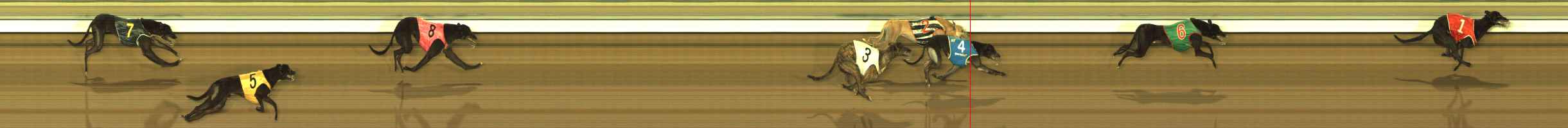 Photo finish for The Meadows Race 11