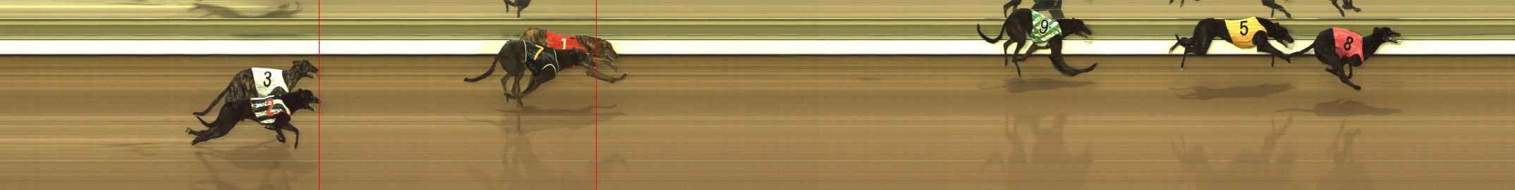 Photo finish for The Meadows Race 1