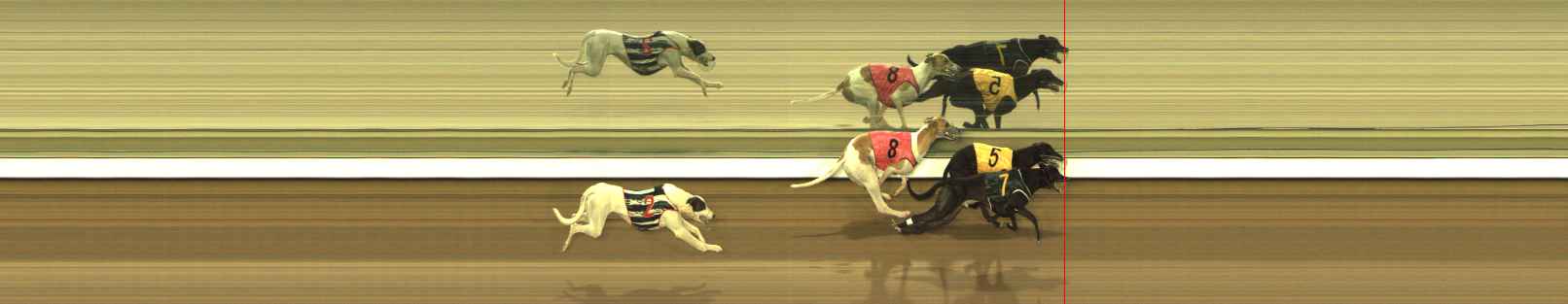 Photo finish for The Meadows Race 4