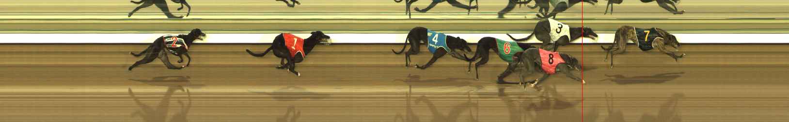 Photo finish for The Meadows Race 5