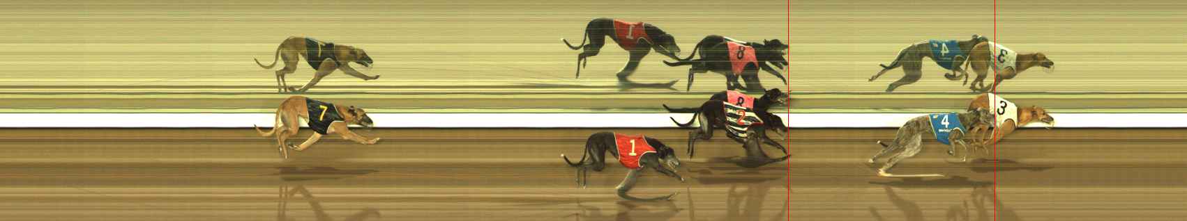 Photo finish for The Meadows Race 6