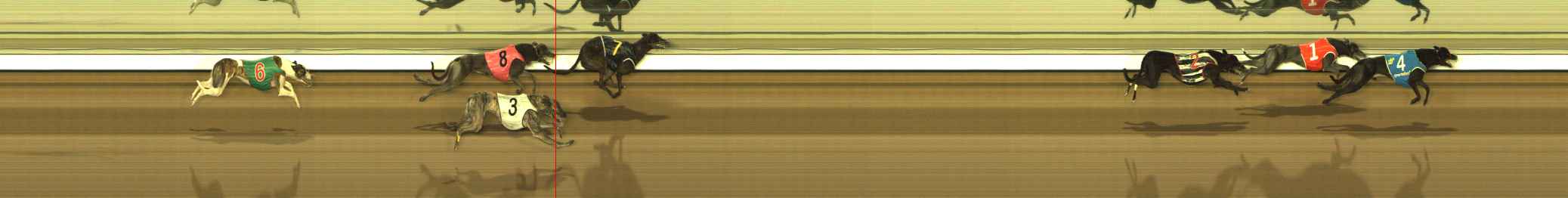 Photo finish for The Meadows Race 8
