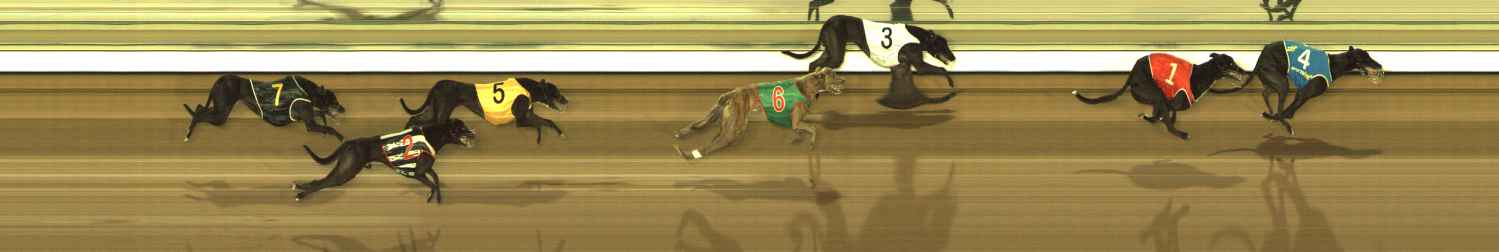 Photo finish for The Meadows Race 9