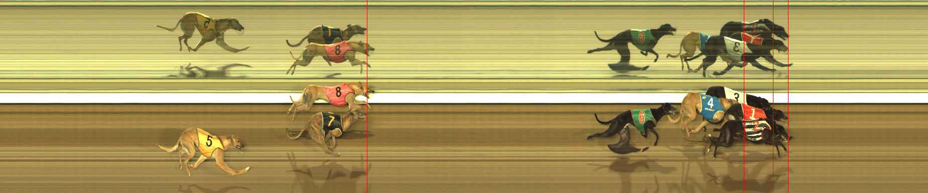 Photo finish for The Meadows Race 10