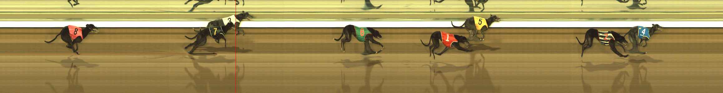 Photo finish for The Meadows Race 12