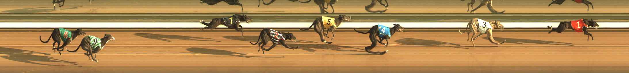 Photo finish for The Meadows Race 3