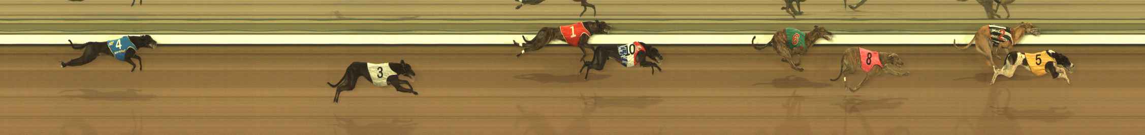 Photo finish for The Meadows Race 6