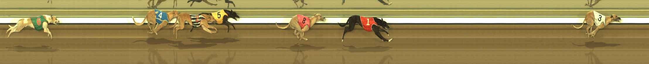 Photo finish for The Meadows Race 7