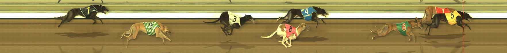 Photo finish for The Meadows Race 8
