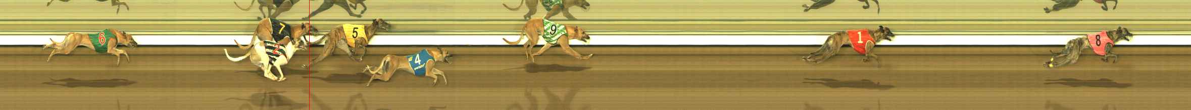 Photo finish for The Meadows Race 11