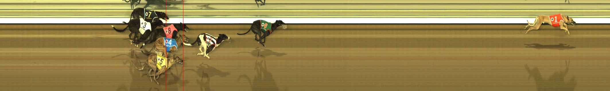 Photo finish for The Meadows Race 8
