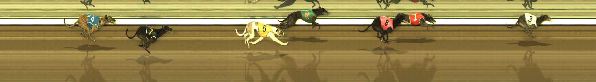 Photo finish for The Meadows Race 9