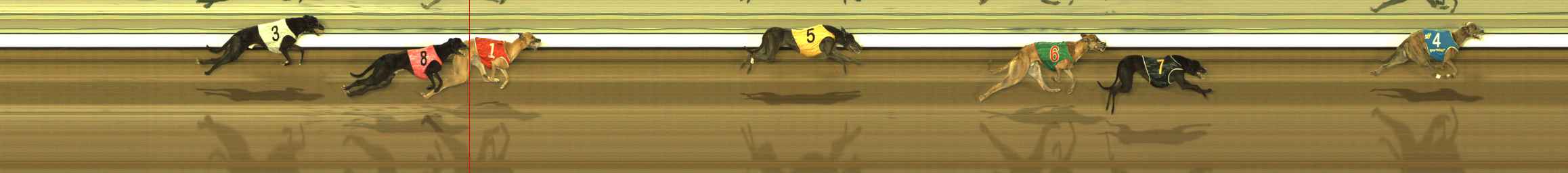 Photo finish for The Meadows Race 10