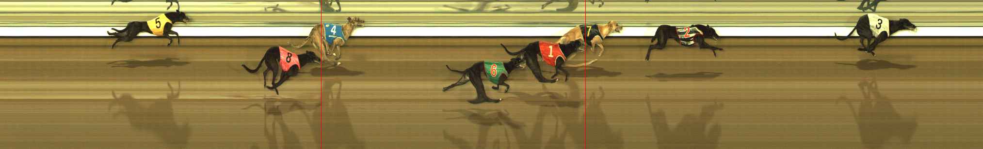 Photo finish for The Meadows Race 12