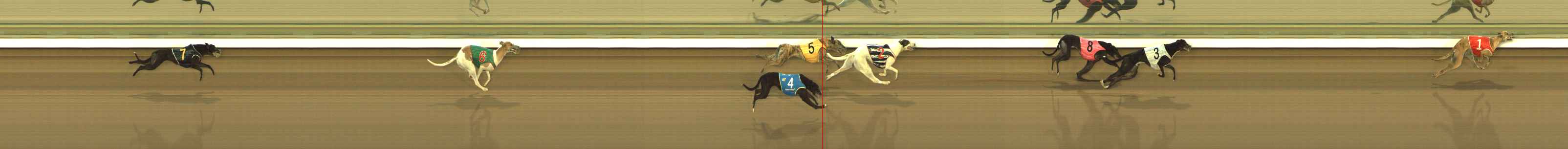 Photo finish for The Meadows Race 6