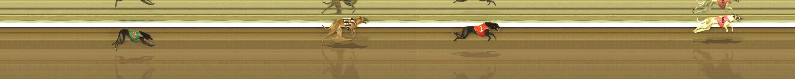 Photo finish for The Meadows Race 7