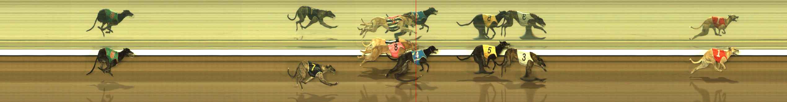 Photo finish for The Meadows Race 9