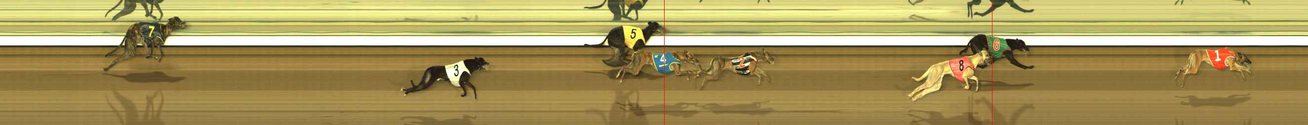 Photo finish for The Meadows Race 11