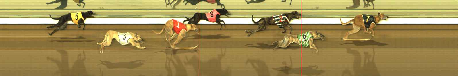 Photo finish for The Meadows Race 12
