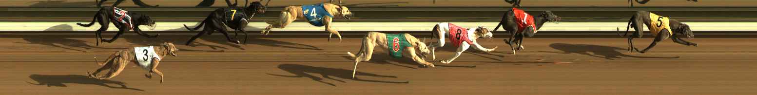 Photo finish for The Meadows Race 1