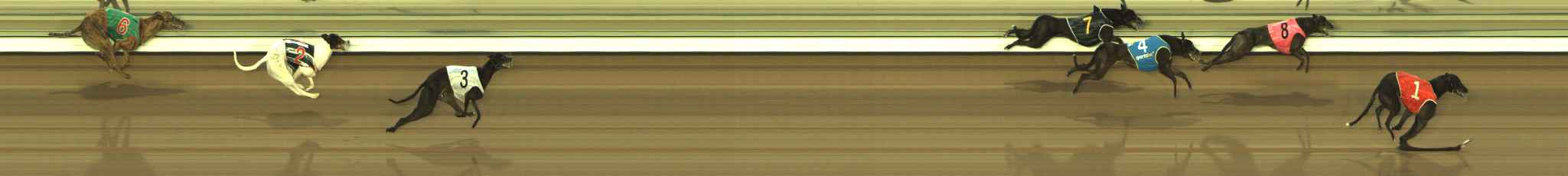 Photo finish for The Meadows Race 6