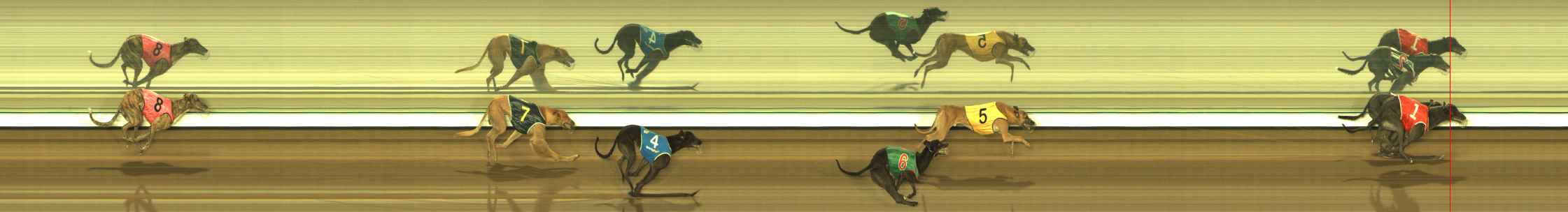 Photo finish for The Meadows Race 8