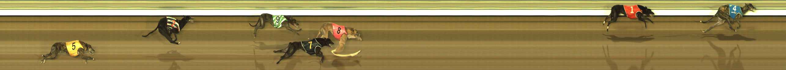 Photo finish for The Meadows Race 9