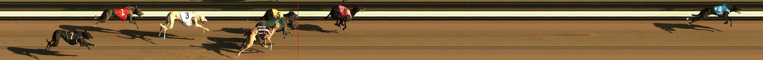 Photo finish for The Meadows Race 1