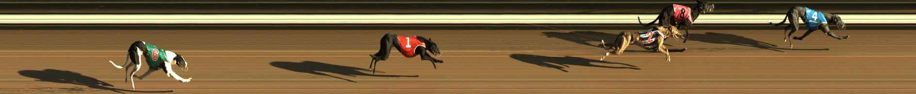 Photo finish for The Meadows Race 3