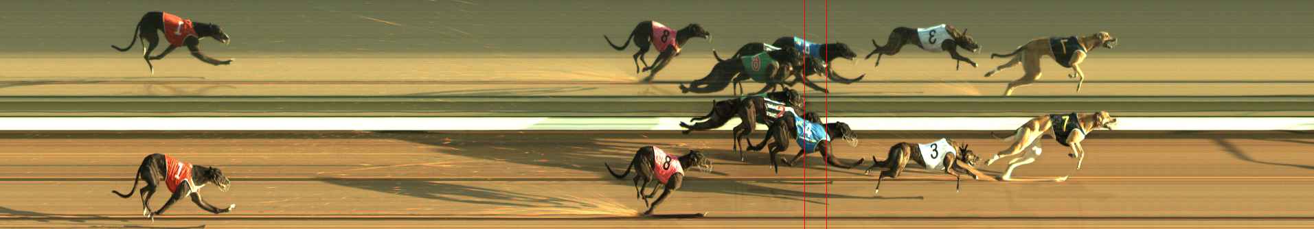 Photo finish for The Meadows Race 5