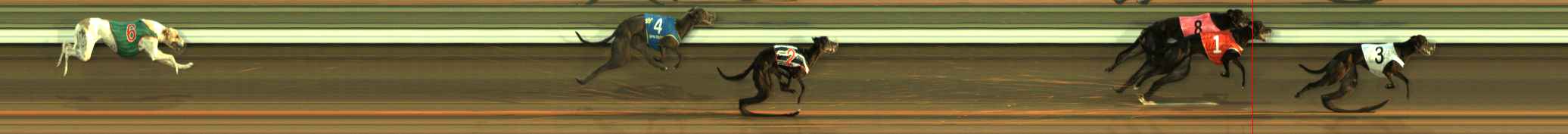 Photo finish for The Meadows Race 6
