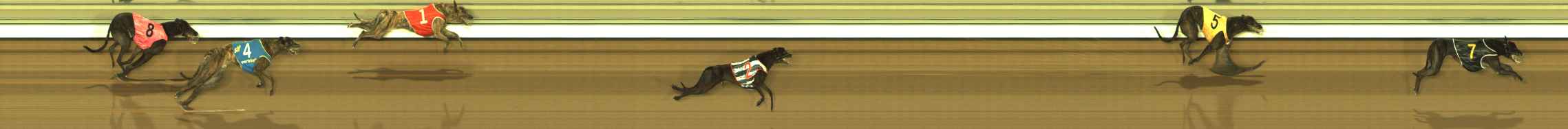 Photo finish for The Meadows Race 9