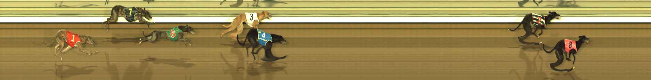 Photo finish for The Meadows Race 10