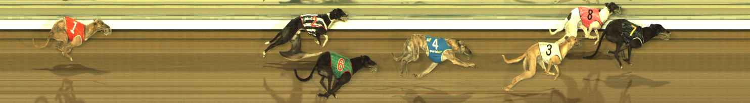 Photo finish for The Meadows Race 11