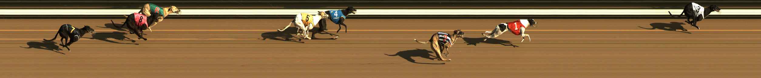 Photo finish for The Meadows Race 1
