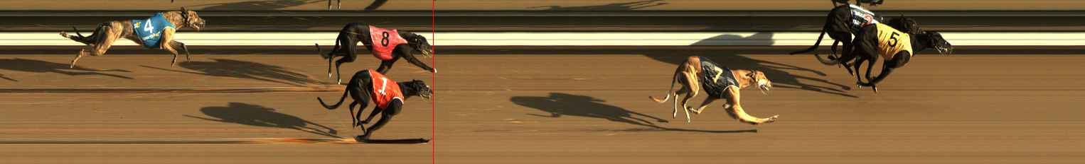 Photo finish for The Meadows Race 4
