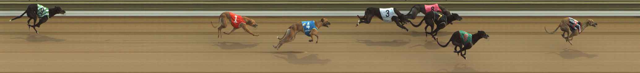 Photo finish for The Meadows Race 6