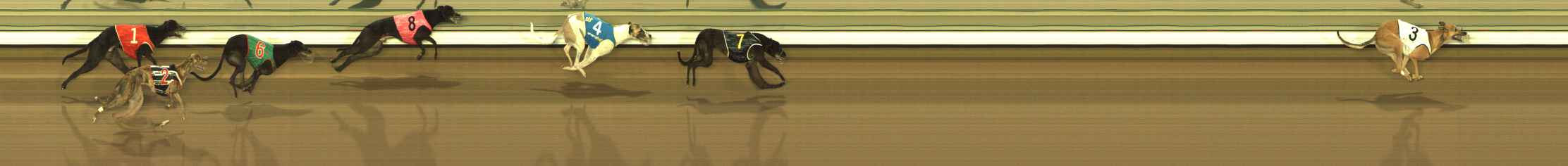 Photo finish for The Meadows Race 8
