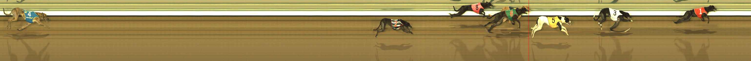 Photo finish for The Meadows Race 9