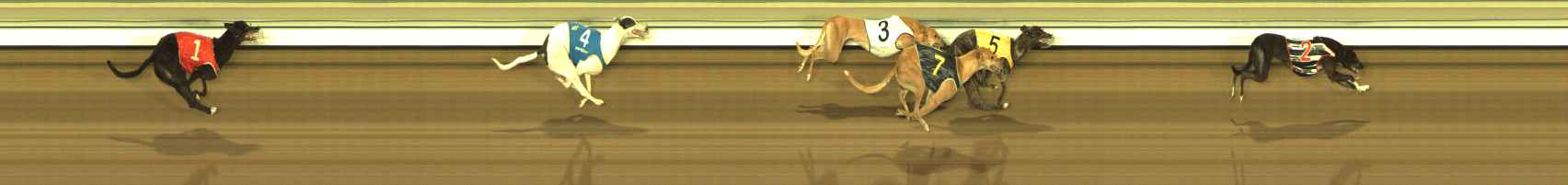 Photo finish for The Meadows Race 10