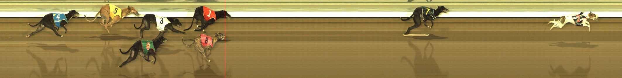 Photo finish for The Meadows Race 11