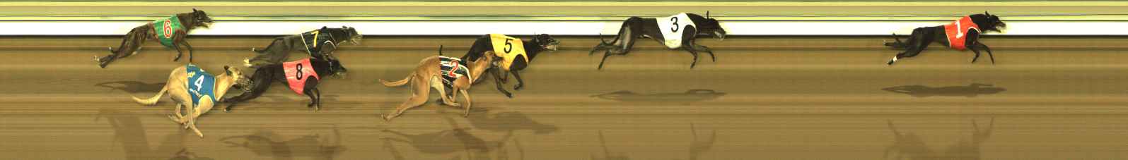 Photo finish for The Meadows Race 12