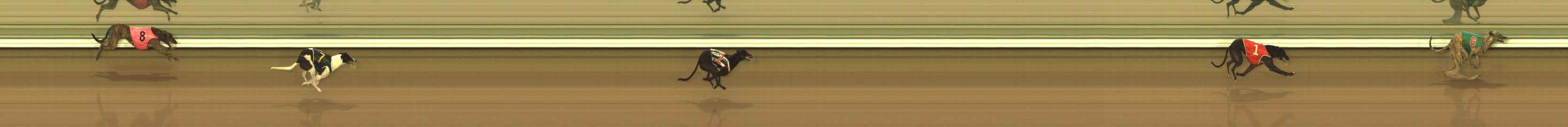 Photo finish for The Meadows Race 3