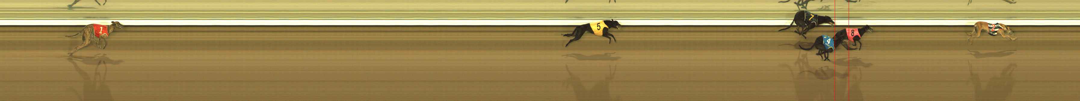 Photo finish for The Meadows Race 4