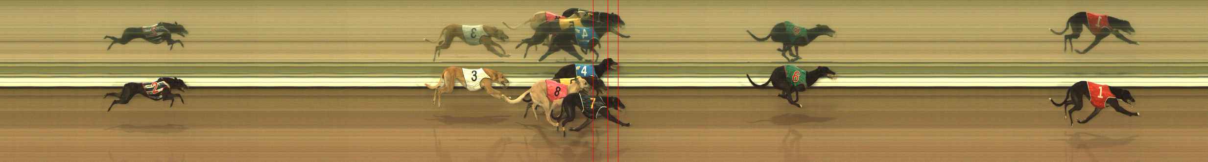 Photo finish for The Meadows Race 5