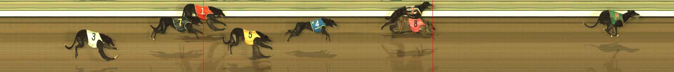 Photo finish for The Meadows Race 11